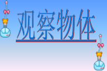 苏教版数学二年级上册《1、从前、后、左、右观察物体》PPT课件1