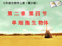 《第四节 单细胞生物体》PPT课件2-冀少儿版生物七年级上册