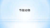 《第五节 节肢动物》PPT课件1-冀少儿版生物七年级上册