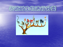 《第一节 尝试对生物进行分类》PPT课件1-冀少儿版生物七年级上册