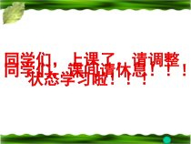 《第五节 裸子植物》PPT课件1-冀少儿版生物七年级上册