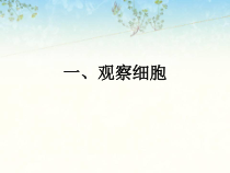 《第一节 细胞》PPT课件3-冀少儿版生物七年级上册