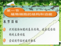 《第一节 细胞》PPT课件4-冀少儿版生物七年级上册