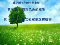 《第一节 在实验室里观察植物》PPT课件2-冀少儿版生物七年级上册