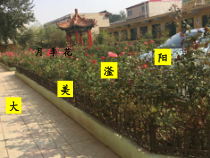 《第一节 在实验室里观察植物》PPT课件4-冀少儿版生物七年级上册