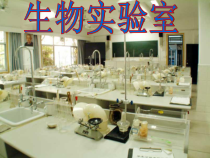 《第一节 走进生物实验室》PPT课件3-冀少儿版生物七年级上册