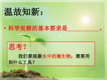 《第一节 走进生物实验室》PPT课件4-冀少儿版生物七年级上册