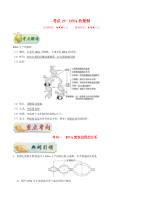 高考生物一轮复习考点一遍过考点29 DNA的复制(含解析)