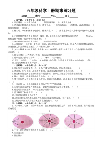 小学科学大象版五年级上册期末练习题（2022秋）（附参考答案）