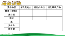 《第三节 营养物质的吸收和利用》PPT课件2-冀少儿版生物七年级下册
