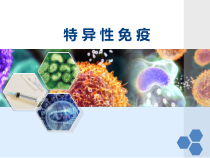 《第一节　免疫》PPT课件5-冀少儿版生物七年级下册