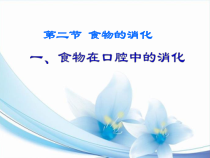 《第二节 食物的消化》PPT课件3-冀少儿版生物七年级下册