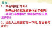 《第三节 信息的处理》PPT课件2-冀少儿版生物七年级下册