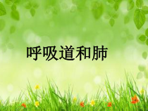《第一节 呼吸》PPT课件5-冀少儿版生物七年级下册