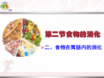 《第二节 食物的消化》PPT课件2-冀少儿版生物七年级下册