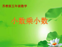 苏教版数学五年级上册《6.小数乘小数（1）》PPT课件2