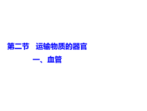 《第二节 物质运输的器官》PPT课件1-冀少儿版生物七年级下册