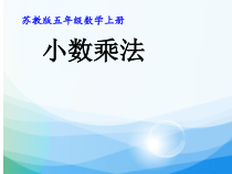 苏教版数学五年级上册《6.小数乘小数（1）》PPT课件3
