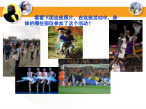 《第二节 信息的传递》PPT课件1-冀少儿版生物七年级下册