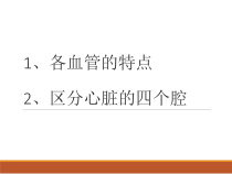 《第三节 物质运输的路线》PPT课件3-冀少儿版生物七年级下册