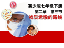 《第三节 物质运输的路线》PPT课件1-冀少儿版生物七年级下册