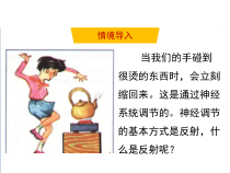 《第三节 信息的处理》PPT课件1-冀少儿版生物七年级下册