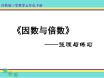 苏教版数学五年级下册《11.整理与练习》PPT课件1