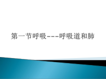 《第一节 呼吸》PPT课件1-冀少儿版生物七年级下册