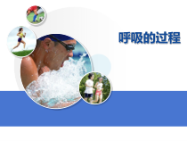 《第一节 呼吸》PPT课件2-冀少儿版生物七年级下册