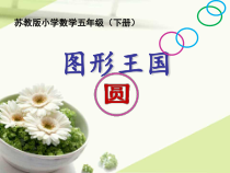 苏教版数学五年级下册《3.图形王国》PPT课件2