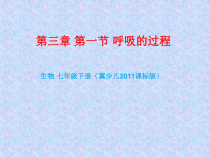 《第一节 呼吸》PPT课件4-冀少儿版生物七年级下册