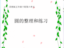 苏教版数学五年级下册《10.整理与练习》PPT课件4