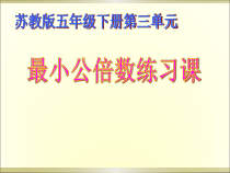 苏教版数学五年级下册《10.公倍数和最小公倍数练习》PPT课件3