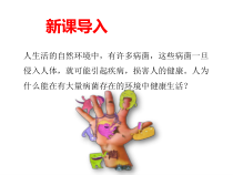 《第一节　免疫》PPT课件3-冀少儿版生物七年级下册