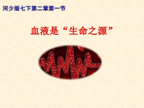 《第一节 物质运输的载体》PPT课件2-冀少儿版生物七年级下册