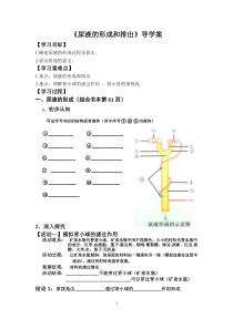 《尿液的形成与排出》导学案-冀少儿版生物七年级下册