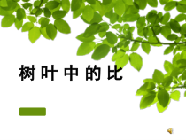 苏教版数学六年级上册《● 树叶中的比》PPT课件2