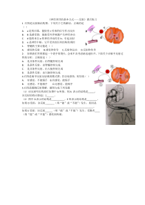 《第三节 信息的处理 反射》课后练习-冀少儿版生物七年级下册
