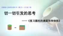 苏教版数学六年级下册（课件25份，可预览）