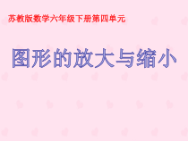 苏教版数学六年级下册《1、放大与缩小》PPT课件3