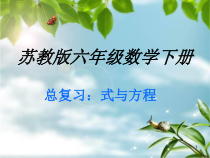 苏教版数学六年级下册《11、式与方程（1）》PPT课件2
