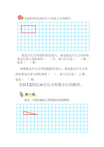 苏教版数学六年级下册《1、放大与缩小》教学素材