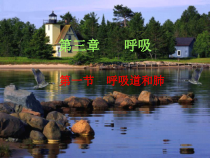 《第一节 呼吸》PPT课件1-冀少儿版生物七年级下册