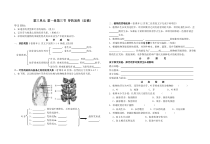 《第三节 芽的发育》教学设计2-冀少儿版生物八年级上册