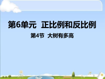 苏教版数学六年级下册《大树有多高》PPT课件 (共17页)
