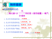 《第一节 呼吸作用》PPT课件1-冀少儿版生物八年级上册