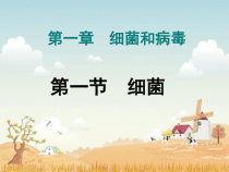 《第一节 细菌》PPT课件2-冀少儿版生物八年级上册