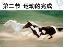 《第二节 运动的完成》PPT课件1-冀少儿版生物八年级上册