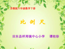 苏教版数学六年级下册4.5《比例尺》PPT课件 (共25页)