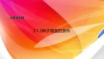 《第二节 种子萌发的条件》PPT课件1-冀少儿版生物八年级上册